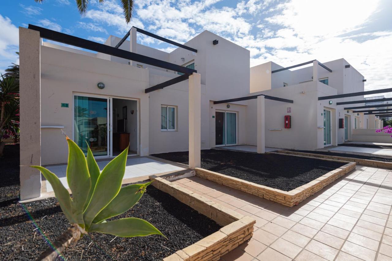 Homeforguest Apartamento 15 Con Terraza Y Piscina En Corralejo Eksteriør billede